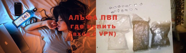 ECSTASY Щигры