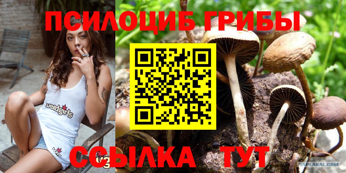 Псилоцибиновые грибы прущие грибы  Вход с VPN  Псилоцибиновые грибы Magic Shrooms  Северск 